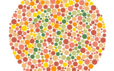 Se la Politica diventa daltonica